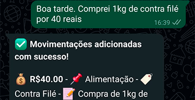 Assistente financeiro Inteligente pelo WhatsApp Gerencie.AI
